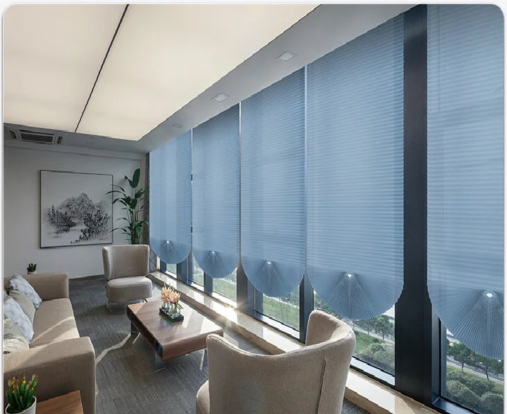 Easy to Install Light Filtering Pleated Paper Shades for Window Temporary and Portable Blinds with Clips Roman Zebra