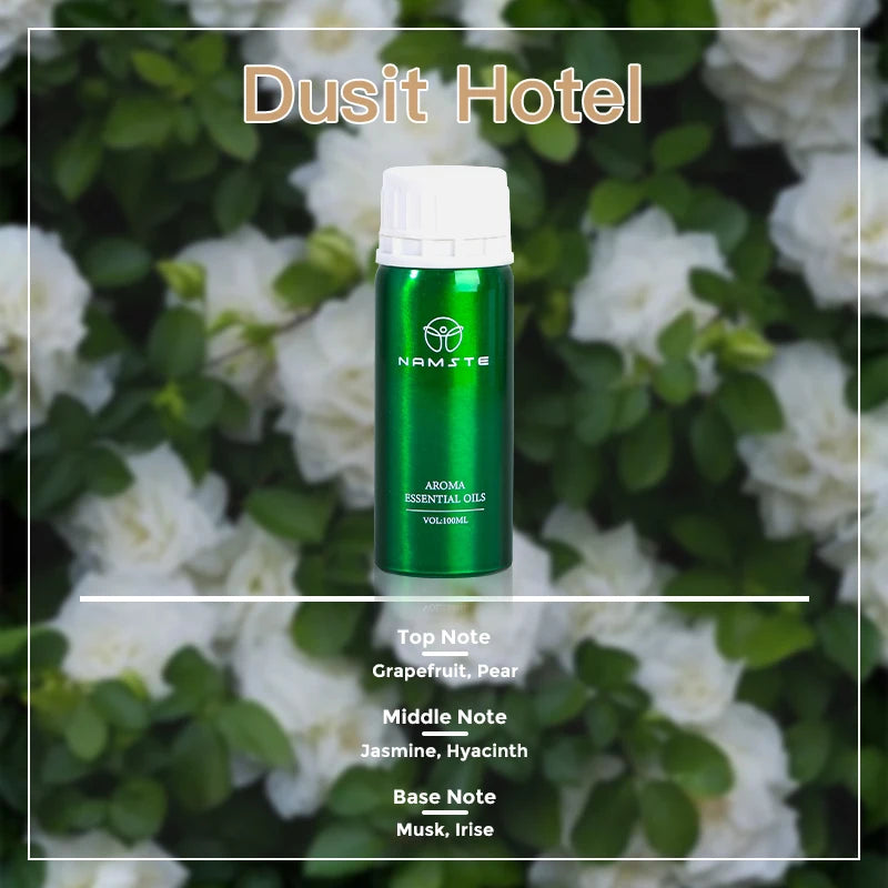 500ML Air Freshener Essential Oil Diffuser Refill Air Purifier for Hotels Electric Aromatic Oasis Humidifier Car Smoke Generator