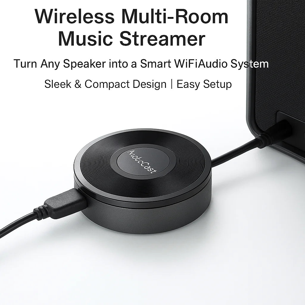 AudioCast M5 Wireless Wifi Music Audio Streamer Receiver Audiocast Ieast pPlayDLNA For Airplay Audio Music Adapter Multi Room