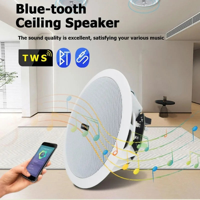 Home and Commercial Caixa De Som Bluetooth Speaker Active and Wired Ceiling Speaker Background Music Stereo for Home Theater 10W