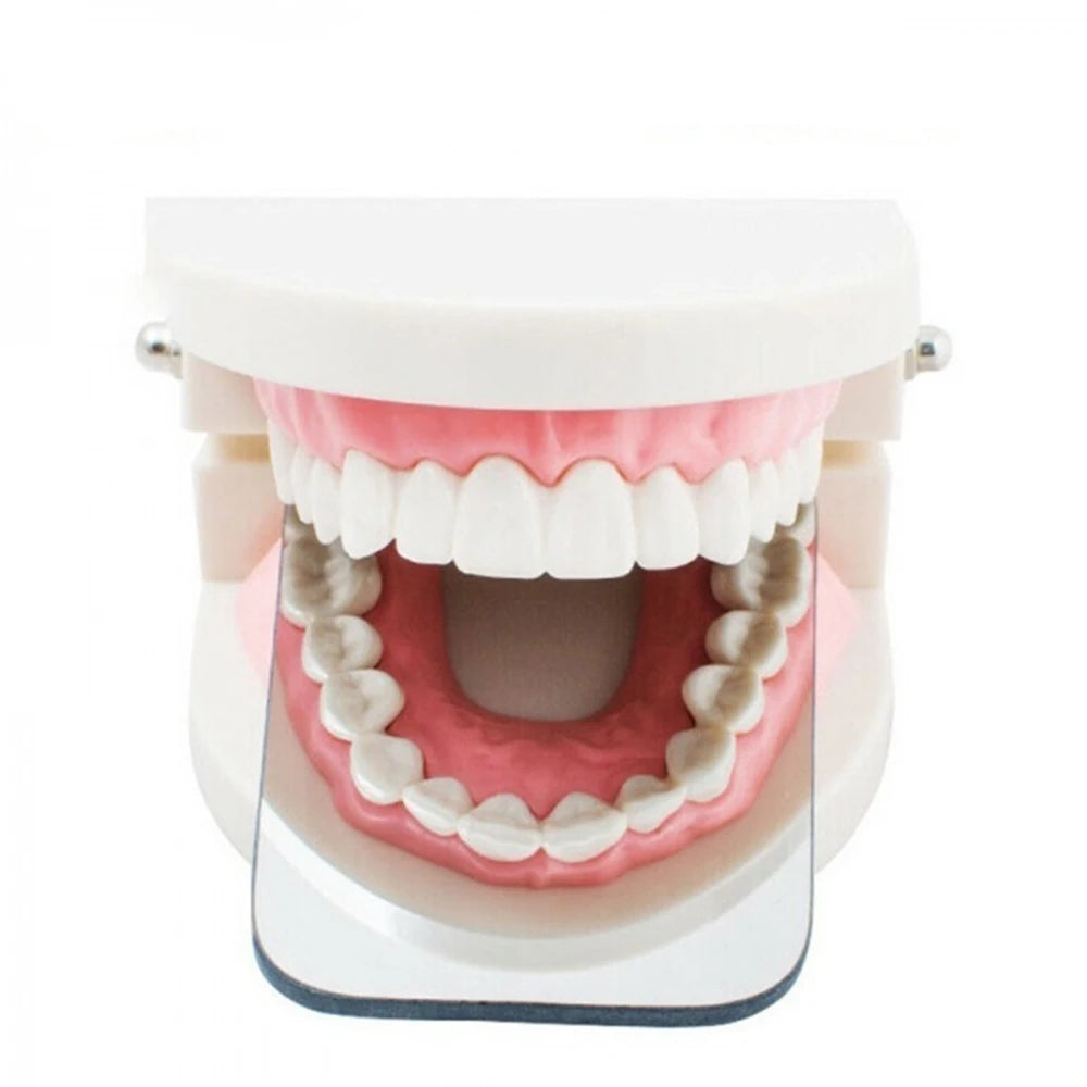 Dentistry Orthodontic Mirror Photography Double-Sided Mirrors Dental Tools Glass Material Intra Oral Reflector