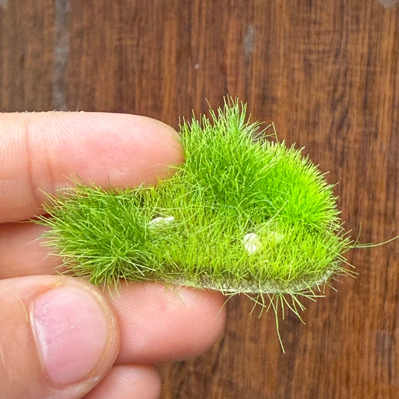 11*15cm Model Grass Turf With Stone Lawn Model Material Micro Landscape Platform Diy Material 1/64 Scale Train Railway Layout