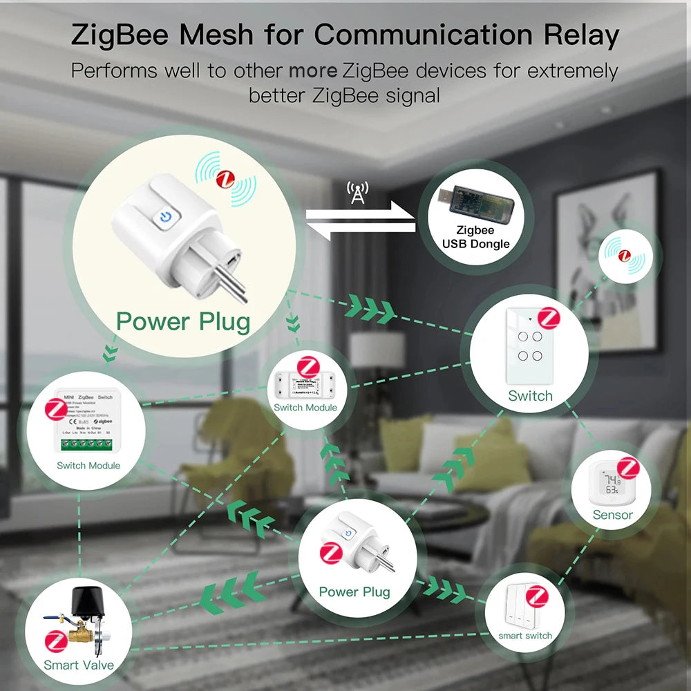 Home Assistant Zigbee EU Smart Plug 20A/16A Smart Socket With Power Monitoring Timing Function APP Control Works with Alexa Z2M