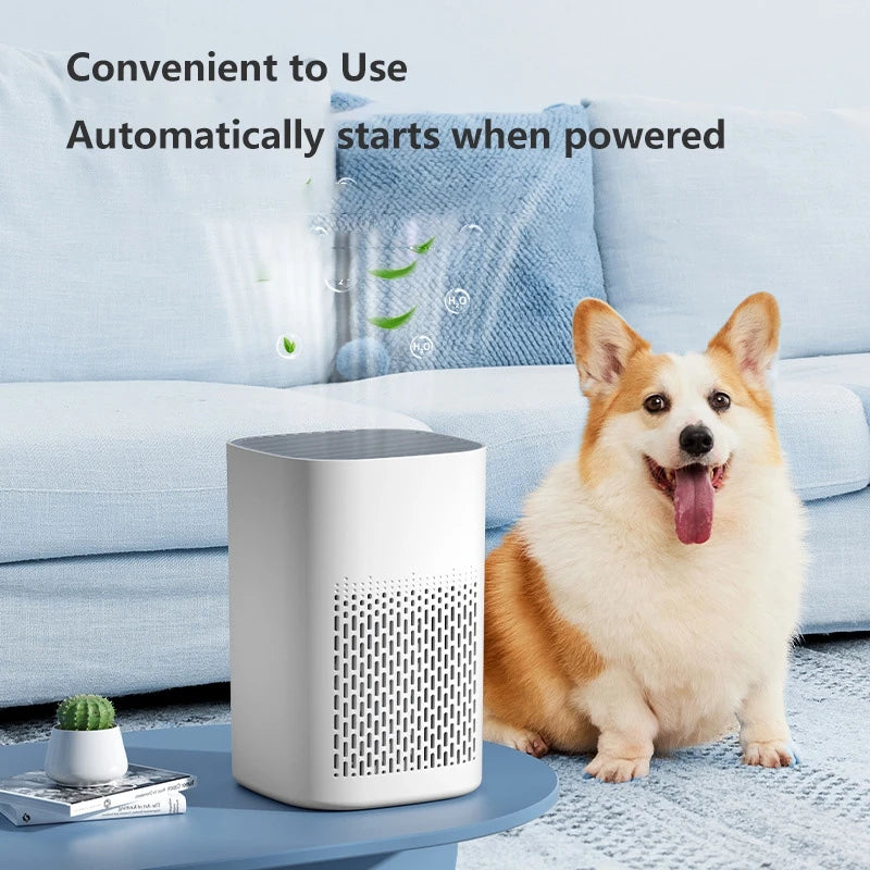 Air Purifier Smoke Odor Negative Ion Generator Household HEPA Air Purifier Efficient Purify Air Formaldehyde For Car Room
